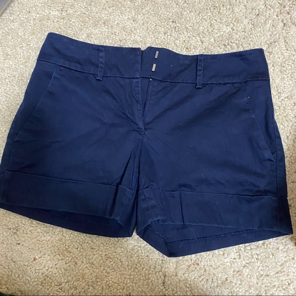New York & Co Shorts